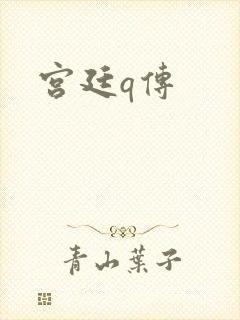 宫廷q传