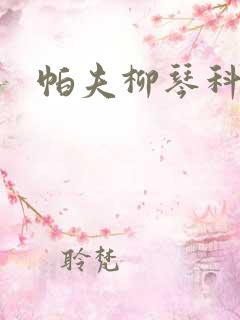 帕夫柳琴科二世