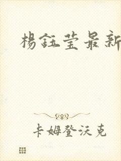 杨钰莹最新小说