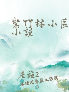 紫竹林小区快递小说