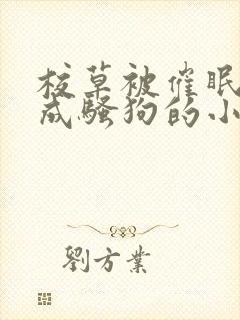 校草被催眠洗脑成骚狗的小说