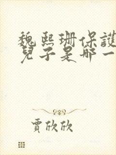 魏熙珊保护萧峥儿子是哪一集