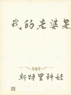 我的老婆是卧底