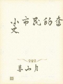 小市民的奋斗燃文