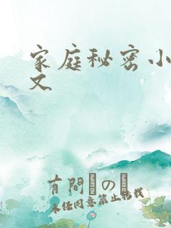 家庭秘密小说全文