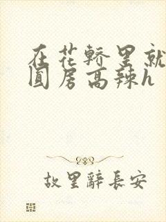 在花轿里就开始圆房高辣h