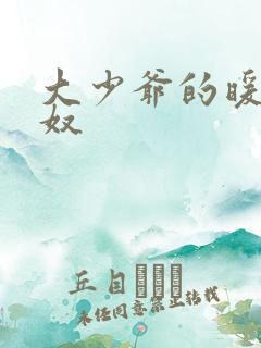 大少爷的暖床小奴