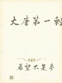 大唐第一刺局