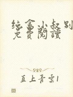 纯禽小叔别太猛免费阅读