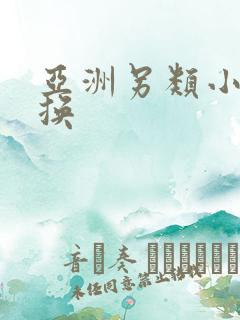 亚洲另类小说交换