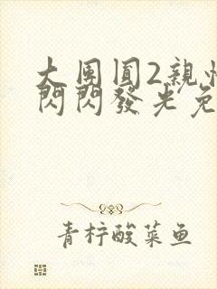 大团圆2亲情会闪闪发光免费