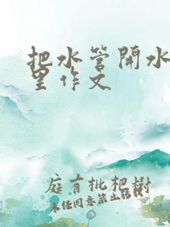 把水管开水放B里作文