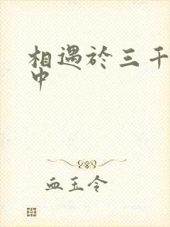 相遇于三千肉文中