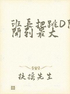 班长把跳D开关开到最大