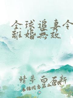 全球追妻令老婆离婚无效