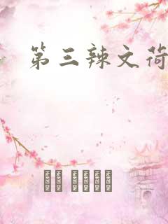 第三辣文荷包网