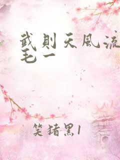 武则天风流艳情毛一