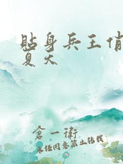 贴身兵王俏总裁夏天