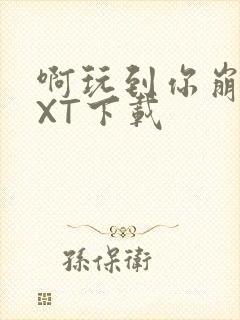 啊玩到你崩溃TXT下载