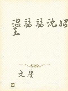 温瑟瑟沈昭摄政王