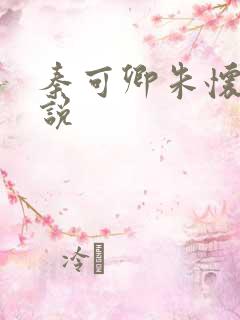 秦可卿朱怀镜小说