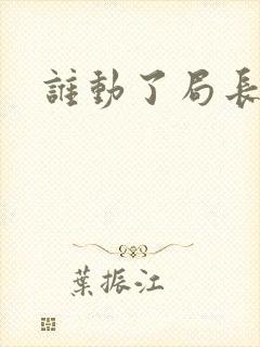 谁动了局长夫人