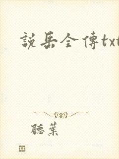 说岳全传txt