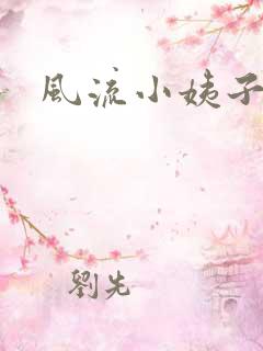 风流小姨子