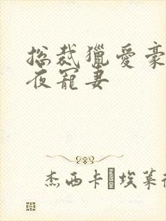 总裁猎爱豪门一夜宠妻