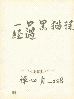 一只黑猫从眼前经过