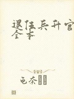 退伍兵升官记 全本