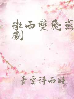 微雨双飞燕电视剧