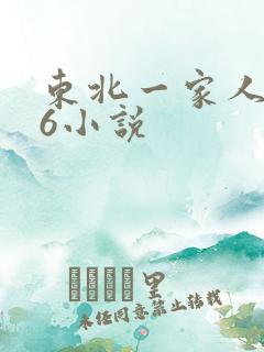 东北一家人1一6小说