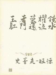 王者荣耀镜被捅肛门还流水