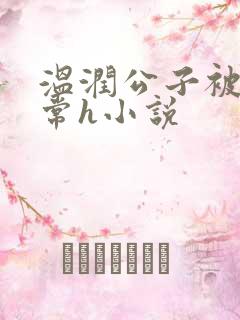 温润公子被脔日常h小说