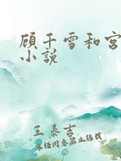顾千雪和宫凌沨小说