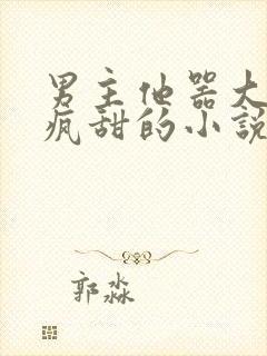 男主他器大活好疯甜的小说