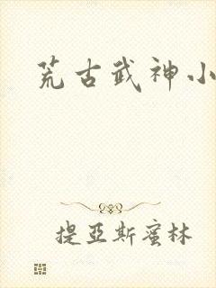 荒古武神小说
