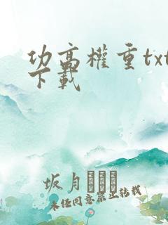 功高权重txt下载