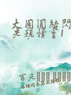 大团圆结闪闪发光亲情会1