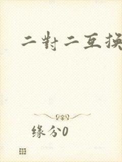 二对二互换共享