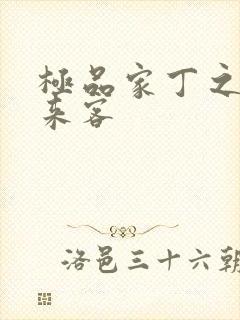 极品家丁之远方来客