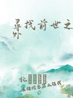 寻找前世之旅番外
