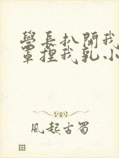 学长扒开我的乳罩捏我乳小说