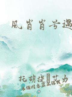 风肖肖兮遇子期