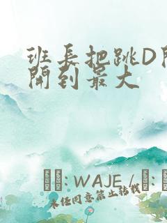 班长把跳D开关开到最大