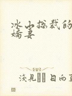 冰山总裁的掠爱娇妻