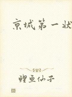 京城第一状师