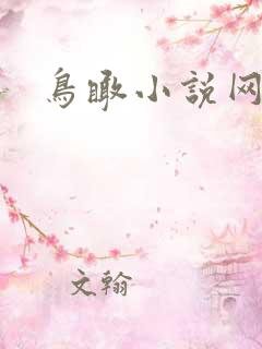 鸟瞰小说网