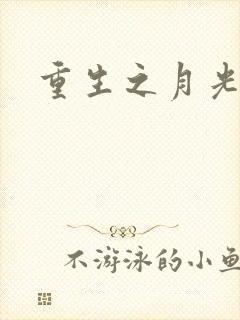 重生之月光少年